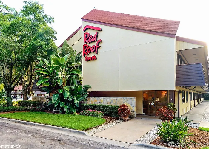 Red Roof Inn Tampa Fairgrounds - Casino